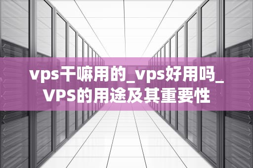 vps干嘛用的_vps好用吗_VPS的用途及其重要性