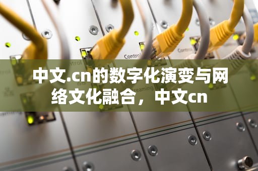 中文.cn的数字化演变与网络文化融合，中文cn