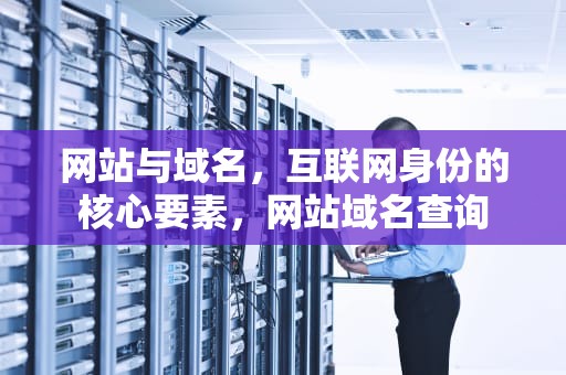 网站与域名，互联网身份的核心要素，网站域名查询