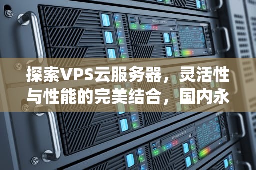 探索VPS云服务器，灵活性与性能的完美结合，国内永久免费vps云服务器
