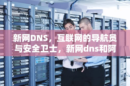 新网DNS，互联网的导航员与安全卫士，新网dns和阿里dns