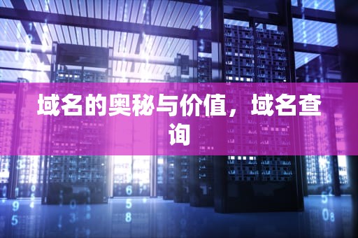 域名的奥秘与价值，域名查询