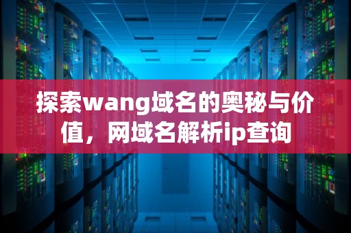 探索wang域名的奥秘与价值，网域名解析ip查询