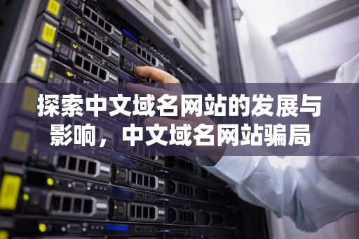探索中文域名网站的发展与影响，中文域名网站骗局