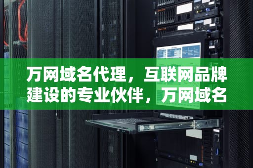万网域名代理，互联网品牌建设的专业伙伴，万网域名代理平台是什么