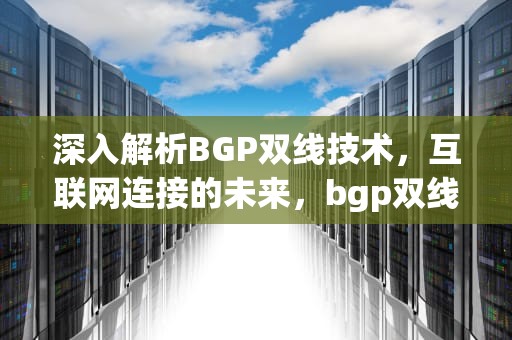深入解析BGP双线技术，互联网连接的未来，bgp双线路主备实验