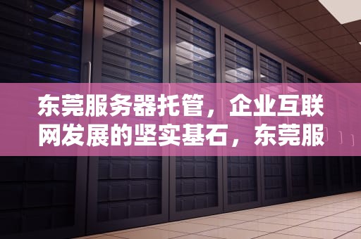 东莞服务器托管，企业互联网发展的坚实基石，东莞服务器托管服务