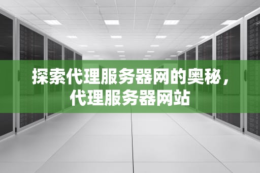 探索代理服务器网的奥秘，代理服务器网站