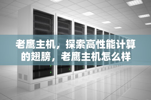 老鹰主机，探索高性能计算的翅膀，老鹰主机怎么样