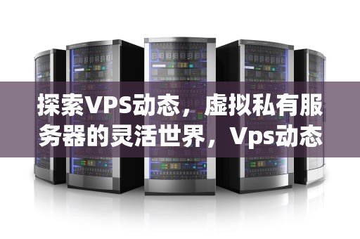 探索VPS动态，虚拟私有服务器的灵活世界，Vps动态服务器