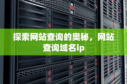 探索网站查询的奥秘，网站查询域名ip