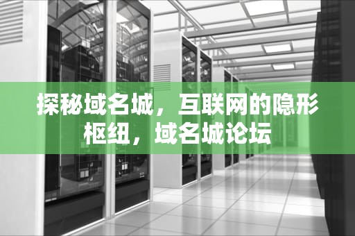探秘域名城，互联网的隐形枢纽，域名城论坛