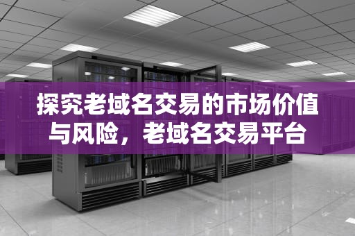 探究老域名交易的市场价值与风险，老域名交易平台