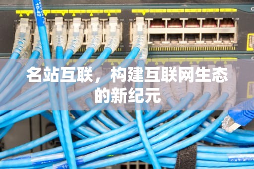 名站互联，构建互联网生态的新纪元