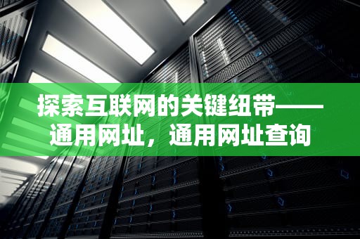 探索互联网的关键纽带——通用网址，通用网址查询