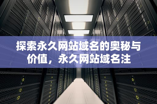 探索永久网站域名的奥秘与价值，永久网站域名注
