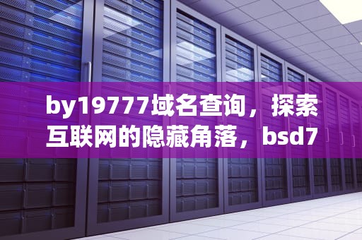 by19777域名查询，探索互联网的隐藏角落，bsd77777域名查询
