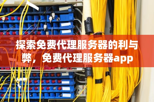 探索免费代理服务器的利与弊，免费代理服务器app