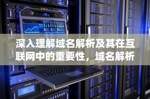 深入理解域名解析及其在互联网中的重要性，域名解析ip地址