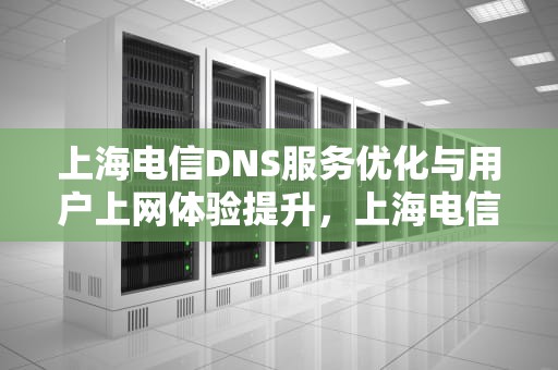 上海电信DNS服务优化与用户上网体验提升，上海电信dns地址