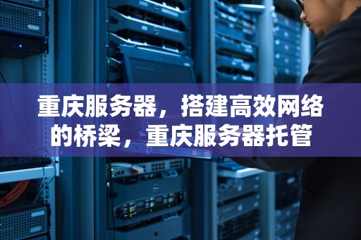 重庆服务器，搭建高效网络的桥梁，重庆服务器托管