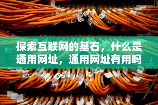 探索互联网的基石，什么是通用网址，通用网址有用吗