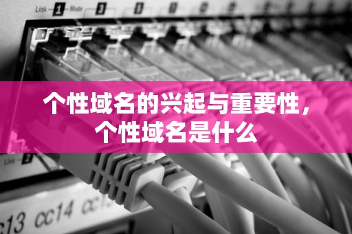 个性域名的兴起与重要性，个性域名是什么