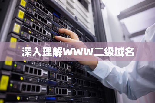 深入理解WWW二级域名