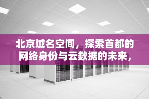 北京域名空间，探索首都的网络身份与云数据的未来，北京域名科技有限公司