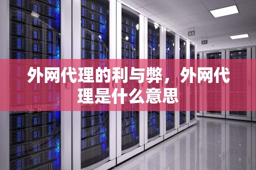 外网代理的利与弊，外网代理是什么意思