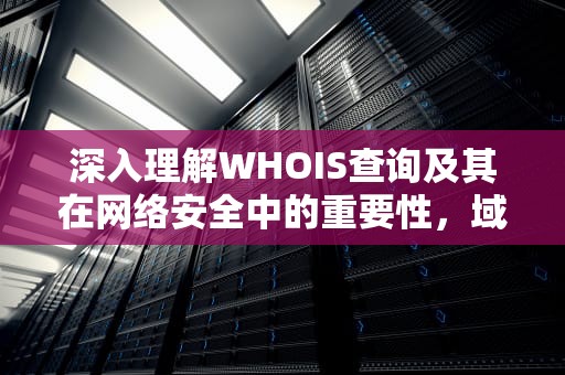 深入理解WHOIS查询及其在网络安全中的重要性，域名whois查询