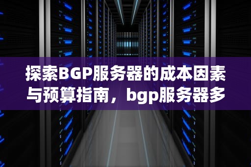探索BGP服务器的成本因素与预算指南，bgp服务器多少钱芝麻