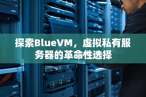 探索BlueVM，虚拟私有服务器的革命性选择