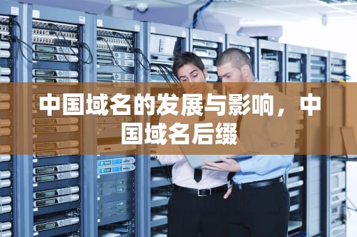 中国域名的发展与影响，中国域名后缀