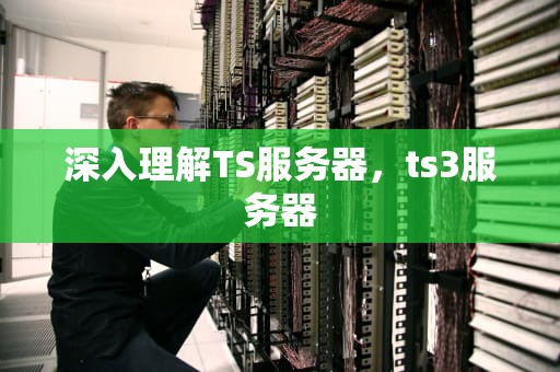 深入理解TS服务器，ts3服务器