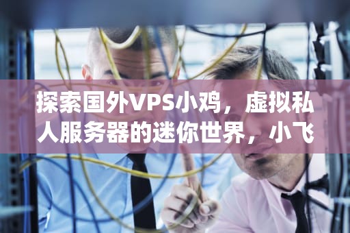 探索国外VPS小鸡，虚拟私人服务器的迷你世界，小飞机 vps
