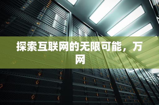 探索互联网的无限可能，万网
