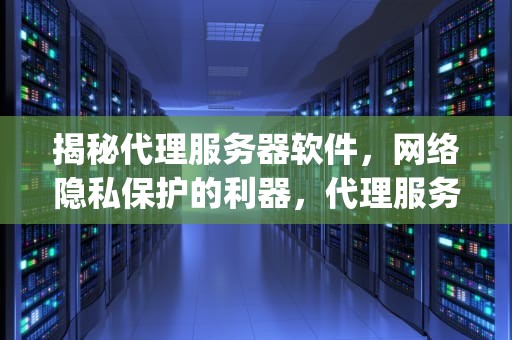 揭秘代理服务器软件，网络隐私保护的利器，代理服务器软件ccproxy