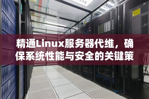 精通Linux服务器代维，确保系统性能与安全的关键策略，linux服务器代理