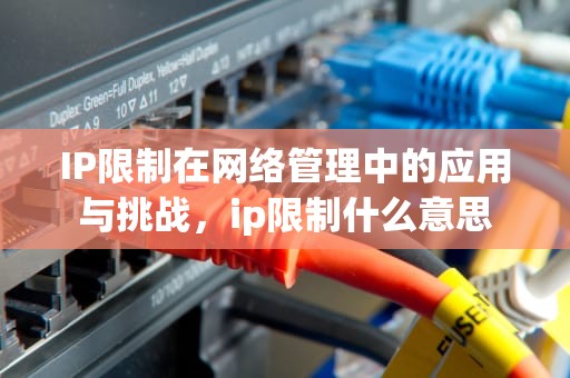 IP限制在网络管理中的应用与挑战，ip限制什么意思