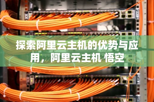 探索阿里云主机的优势与应用，阿里云主机 悟空