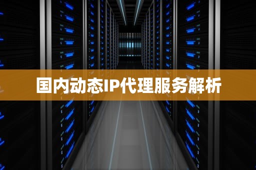 国内动态IP代理服务解析