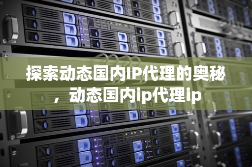 探索动态国内IP代理的奥秘，动态国内ip代理ip