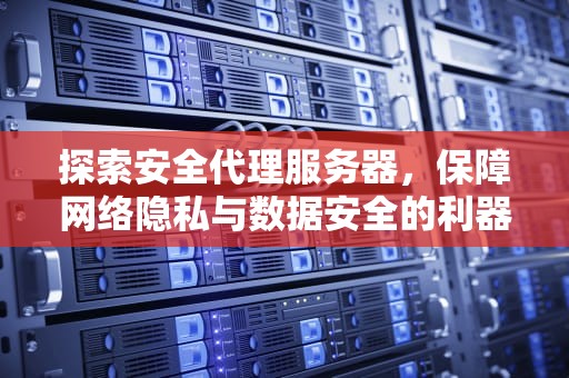 探索安全代理服务器，保障网络隐私与数据安全的利器，安全代理服务器是什么