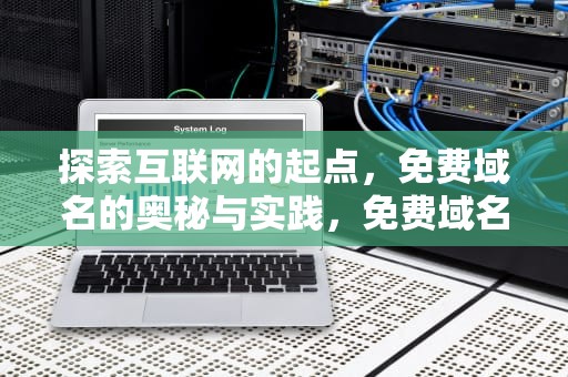探索互联网的起点，免费域名的奥秘与实践，免费域名的网站