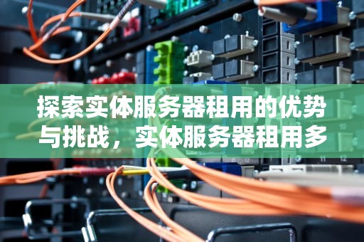 探索实体服务器租用的优势与挑战，实体服务器租用多少钱