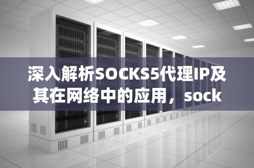 深入解析SOCKS5代理IP及其在网络中的应用，socks5代理ip购买