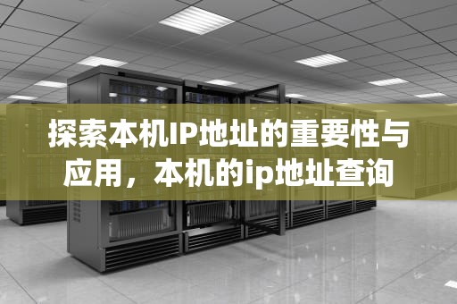 探索本机IP地址的重要性与应用，本机的ip地址查询