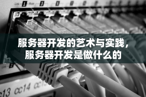 服务器开发的艺术与实践，服务器开发是做什么的