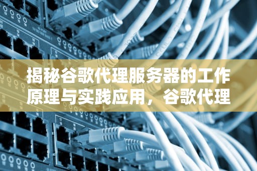 揭秘谷歌代理服务器的工作原理与实践应用，谷歌代理服务器地址和端口怎么填